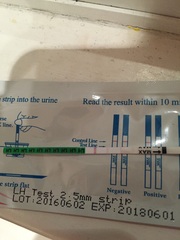 Help with my OPK