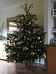Show Us Your TREES!