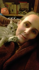 Ragdoll or BSH?