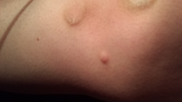 Sporners help me - what is this?