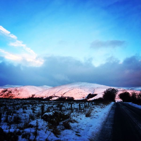 Brave Babes - Barging through 2017 in style
