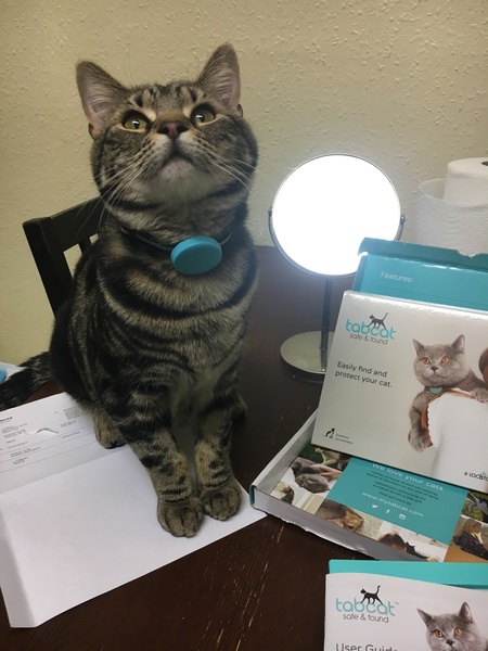 Cat Tracker