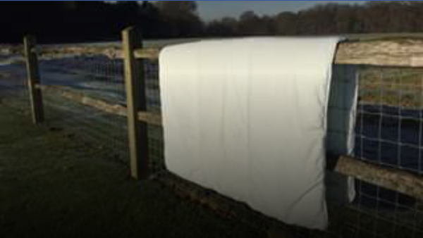 duvet that doesn't need a cover
