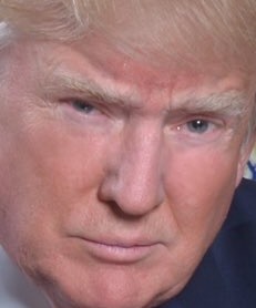 A beautiful thread to discuss the 45th President of the USA, Donald Trump