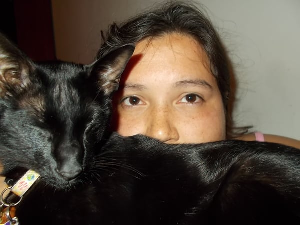 If you're at home with your cat