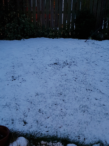 to ask if it is actually snowing anywhere after all that fuss??