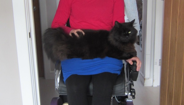 #TTC1 - Second Wave grads thread!