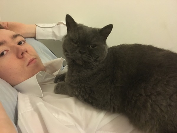 Cuddly cats