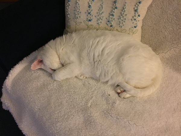 Should I just accept that this blanket is no longer mine?