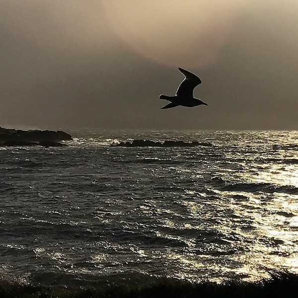 Brave Babes - Barging through 2017 in style