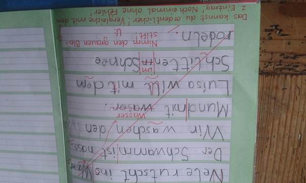 To expect school teachers to actually educate my child?