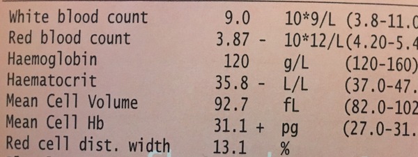 Can anybody help with interpreting blood results please? Picture included