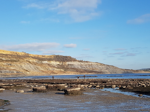 To not want to go walking on beaches in the middle of January?