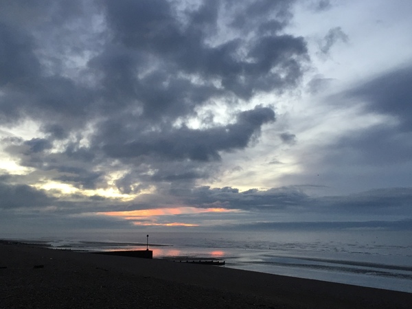 Brave Babes - Barging through 2017 in style