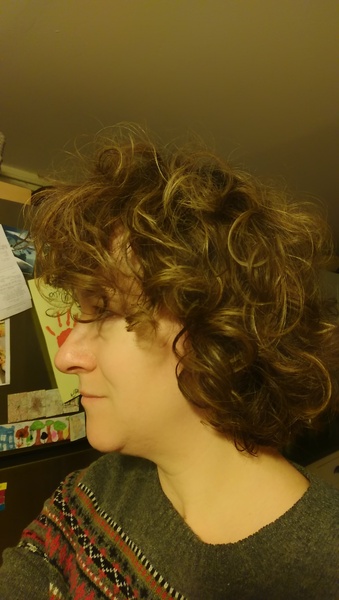 Frizzy hair issues