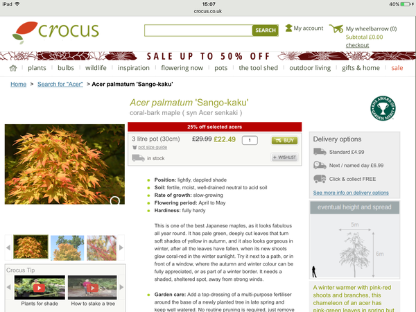 Buying a tree/plant as a gift - please help!