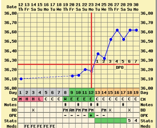 Thread 24. TTC #1 - It's been a tough start to the year but 2017 is still the year of the BFP