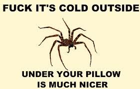 Brave Babes - Barging through 2017 in style