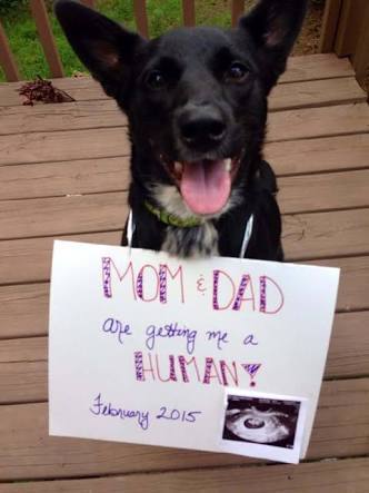 Pregnancy announcement ideas