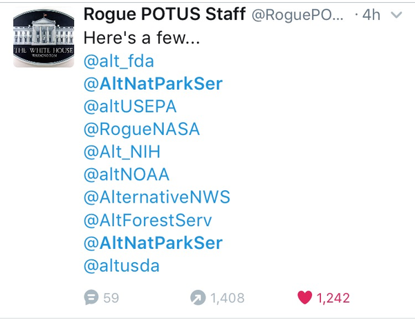 to have just followed Trump on twitter?