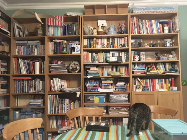IKEA Billy/Oxberg bookcases