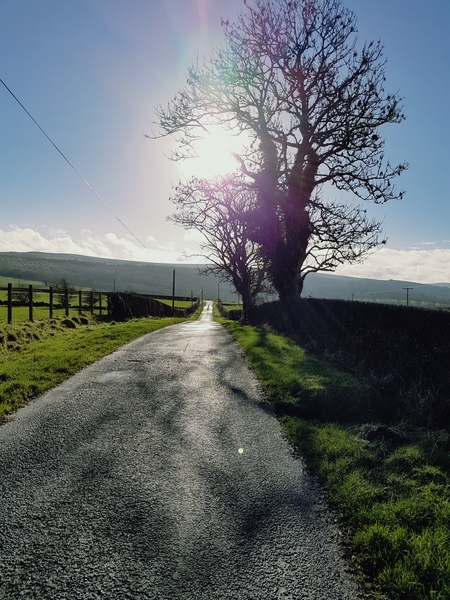 Brave Babes - Barging through 2017 in style