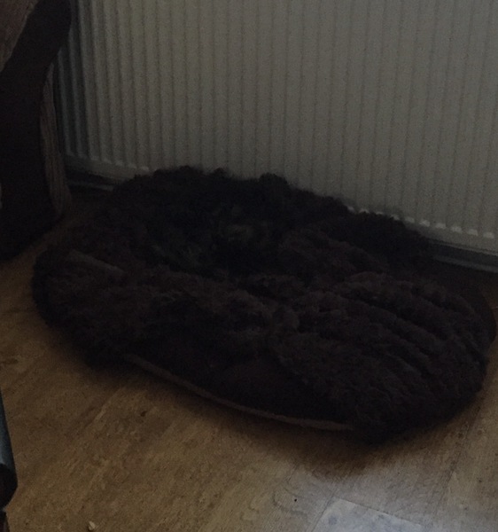 Should I just accept that this blanket is no longer mine?