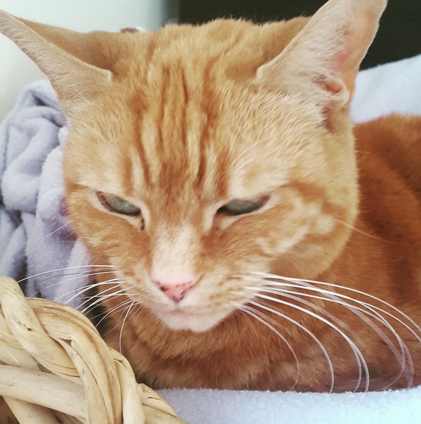 #TTC1 - Second Wave grads thread!