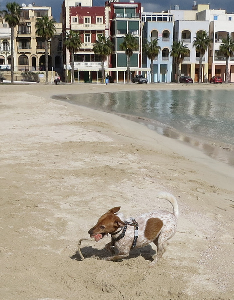 At the beach today - just for fun