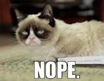 Apparently cats have no facial expressions