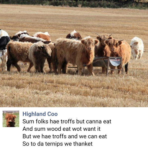 Brave Babes - Barging through 2017 in style