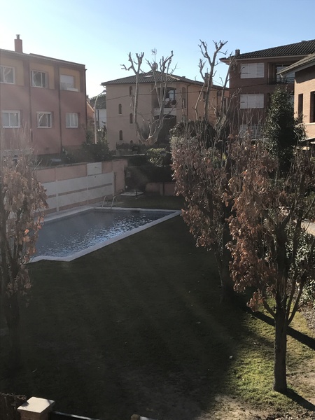 Brave Babes - Barging through 2017 in style