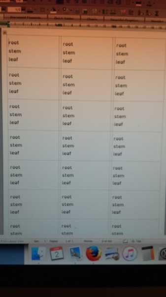 Bullet Journal thread 3: organise your life!