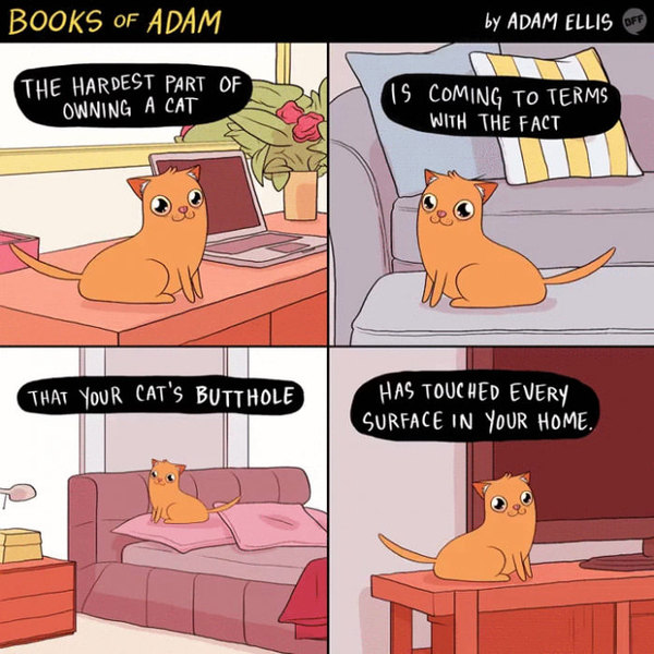 AIBU to be horrified shocked disgusted AND revolted by family on sofa?