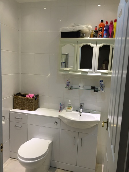 What would you do with this area of the bathroom? Decoration/storage.