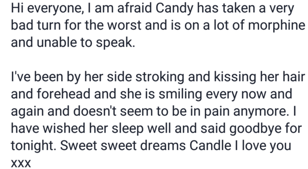 Home fires, candles and gin for zombie