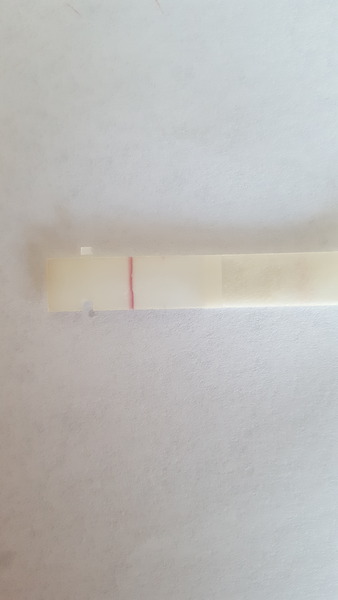 evaporation line or positive