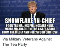 Donald Trump, the first week is BAD.  What next?  Come all ye Beautifuls!