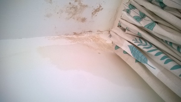 Finding the source of this mould/damp patch (pics)