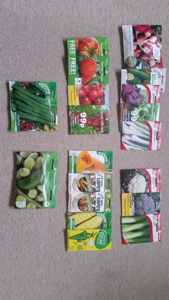 Allotment/Veg Patch - Thread 7 - The Harvesters Arms