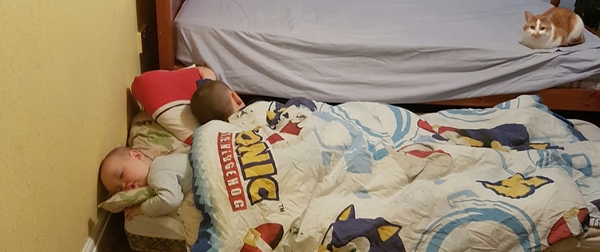 To allow ds aged 10 and dd aged 7 share a bed.