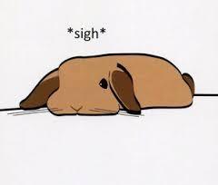 A whisky/whiskey for the Zombie