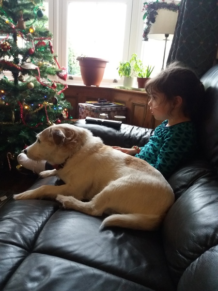 Frugaleers, keeping their frugal resolutions in the new year. Keep on, erm, resoluting!?