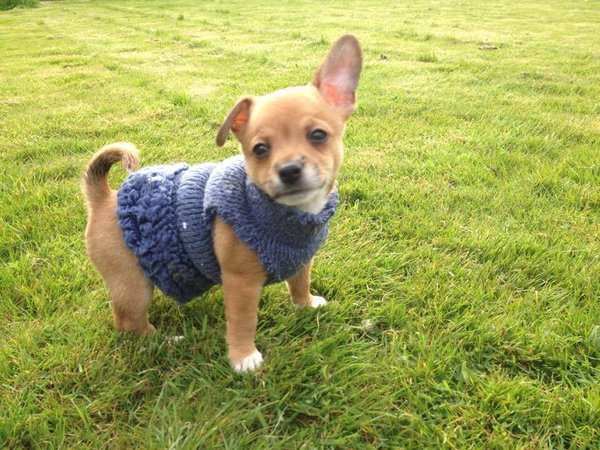 The Brexit Arms. A friendly place for anyone wanting to chat about Brexit.