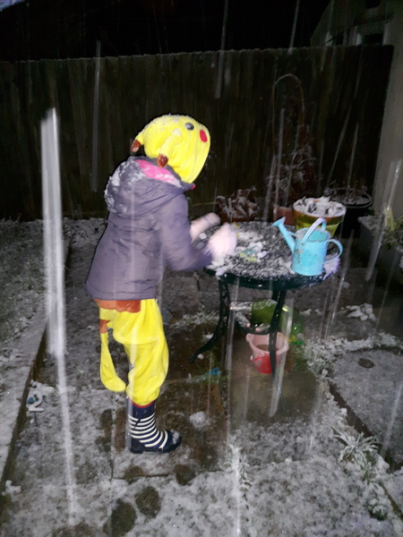 Pokemon Go #6: Where pokemon babies are abandoned in gyms at freezing temperatures