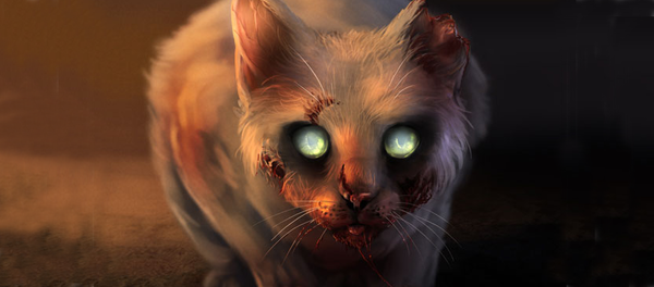 What's the best type of breed of cat to have with kids?