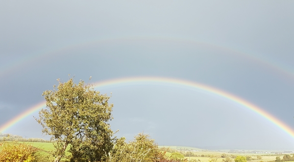 Brave Babes - Barging through 2017 in style