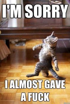 To report my neighbour because of their intruding cat!
