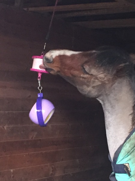 Can't believe what I have just witnessed