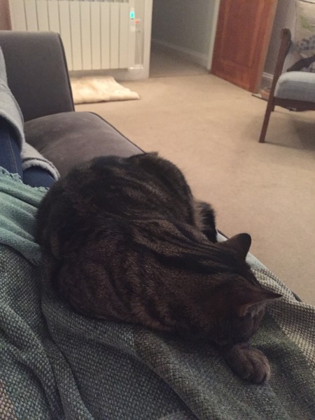 Frugaleers, keeping their frugal resolutions in the new year. Keep on, erm, resoluting!?